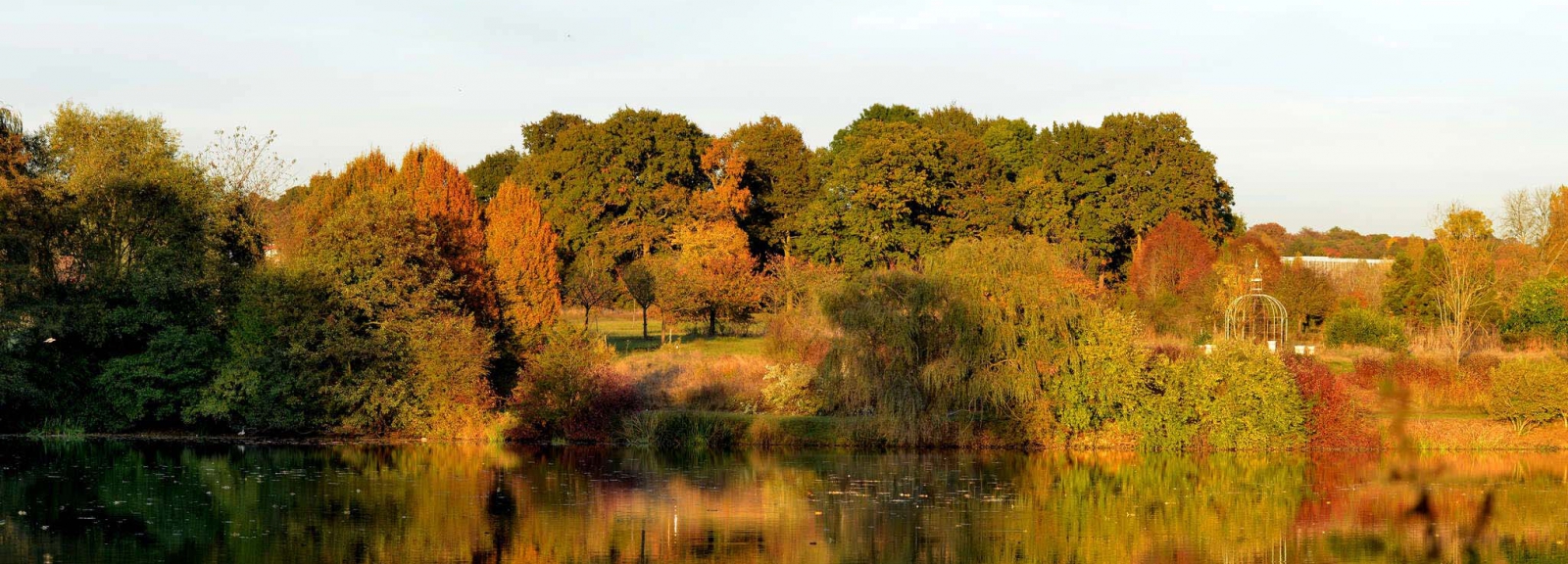 Arboretum de Versailles-Chèvreloup